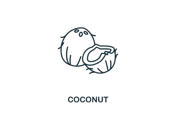 Coconut Icon from Fruits Collection: A Versatile Design Asset for Real-World Projects