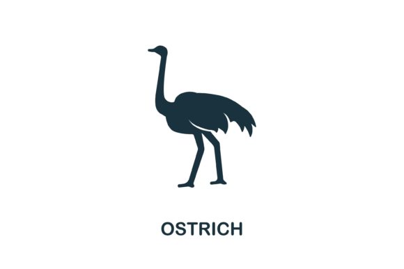 Simple Ostrich Icon for Design Versatility